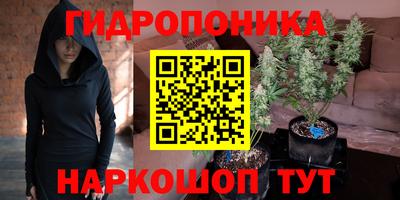 шишки Нальчик