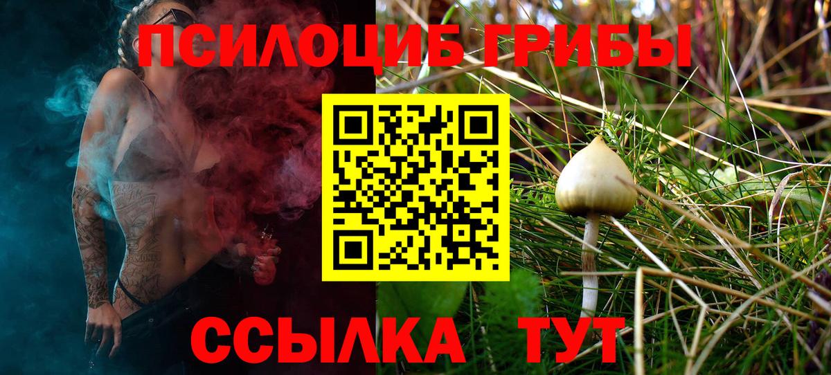Галлюциногенные грибы Cubensis Грозный
