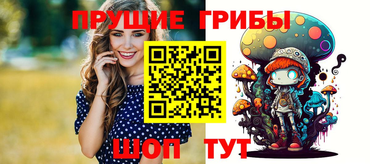 Грозный  Псилоцибиновые грибы мицелий  Вход с VPN 
